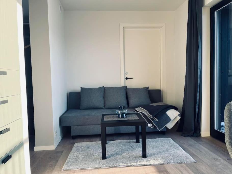 New And Modern Entire Unit In As/ski Norway Apartment